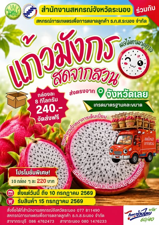 แก้วมังกร