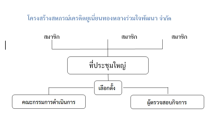 1775794081761