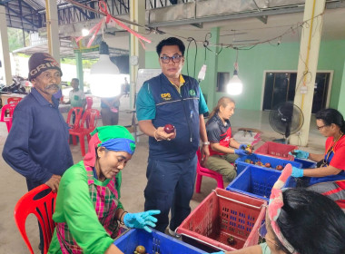 แนะนำ กำกับ ดูแล ... พารามิเตอร์รูปภาพ 1