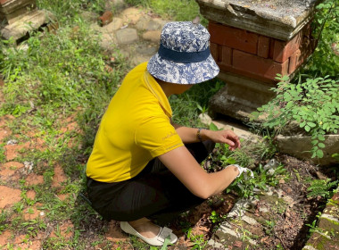 กิจกรรมจิตอาสาบำเพ็ญสาธารณประโยชน์และบำเพ็ญสาธารณกุศลเฉลิมพระเกียรติสมเด็จพระนางเจ้าฯ พระบรมราชินี เนื่องในโอกาสวันเฉลิมพระชนมพรรษา 3 มิถุนายน 2568 ... พารามิเตอร์รูปภาพ 3