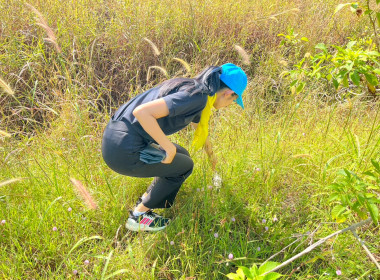 กิจกรรมจิตอาสาพัฒนา เนื่องในวันคล้ายวันพระบรมราชสมภพ ... พารามิเตอร์รูปภาพ 2