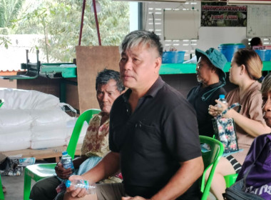 โครงการยกระดับคุณภาพมาตรฐานสินค้า ... พารามิเตอร์รูปภาพ 2