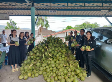 การกระจายมะพร้าวน้ำหอม "อัญมณีแห่งดินสามน้ำ" ... พารามิเตอร์รูปภาพ 1