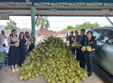 การกระจายมะพร้าวน้ำหอม "อัญมณีแห่งดินสามน้ำ" ... พารามิเตอร์รูปภาพ 2