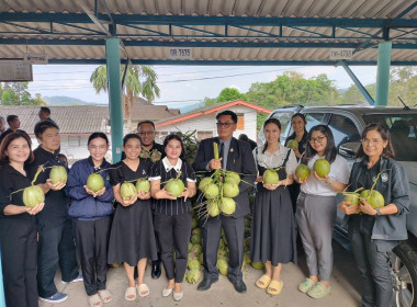 การกระจายมะพร้าวน้ำหอม "อัญมณีแห่งดินสามน้ำ" ... พารามิเตอร์รูปภาพ 3