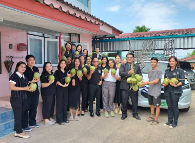 การกระจายมะพร้าวน้ำหอม "อัญมณีแห่งดินสามน้ำ" ... พารามิเตอร์รูปภาพ 4