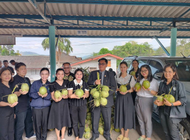 การกระจายมะพร้าวน้ำหอม "อัญมณีแห่งดินสามน้ำ" ... พารามิเตอร์รูปภาพ 5