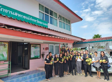 การกระจายมะพร้าวน้ำหอม "อัญมณีแห่งดินสามน้ำ" ... พารามิเตอร์รูปภาพ 6