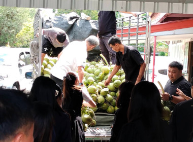 การกระจายมะพร้าวน้ำหอม "อัญมณีแห่งดินสามน้ำ" ... พารามิเตอร์รูปภาพ 10