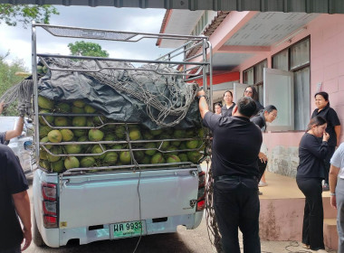 การกระจายมะพร้าวน้ำหอม "อัญมณีแห่งดินสามน้ำ" ... พารามิเตอร์รูปภาพ 11