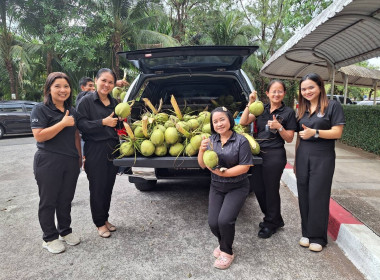 การกระจายมะพร้าวน้ำหอม "อัญมณีแห่งดินสามน้ำ" ... พารามิเตอร์รูปภาพ 12