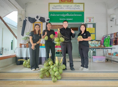 การกระจายมะพร้าวน้ำหอม "อัญมณีแห่งดินสามน้ำ" ... พารามิเตอร์รูปภาพ 13