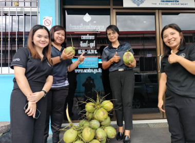 การกระจายมะพร้าวน้ำหอม "อัญมณีแห่งดินสามน้ำ" ... พารามิเตอร์รูปภาพ 14