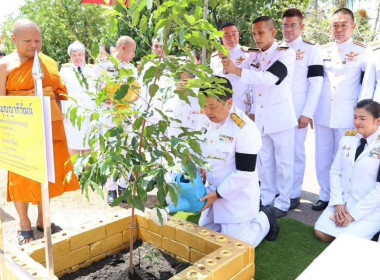 พิธีบรรพชาอุปสมบทพระภิกษุสามเณรและบวชศีลจาริณีภาคฤดูร้อน ... พารามิเตอร์รูปภาพ 3