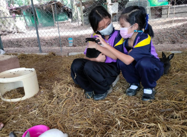 สำนักงานสหกรณ์จังหวัดระนองจัดกิจกรรมทัศนศึกษาเพื่อเสริมสร้างประสบการณ์ ด้านการสหกรณ์แก่นักเรียน ... พารามิเตอร์รูปภาพ 1